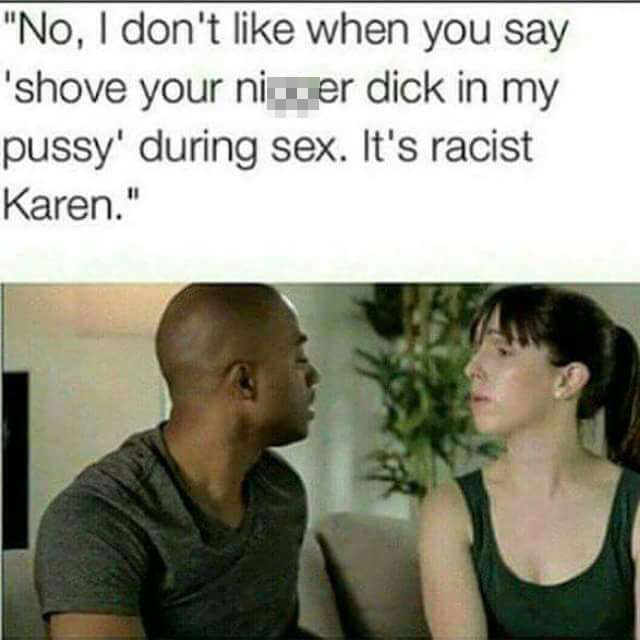 no i don t like it when you say shove - "No, I don't when you say 'shove your niger dick in my pussy' during sex. It's racist Karen."