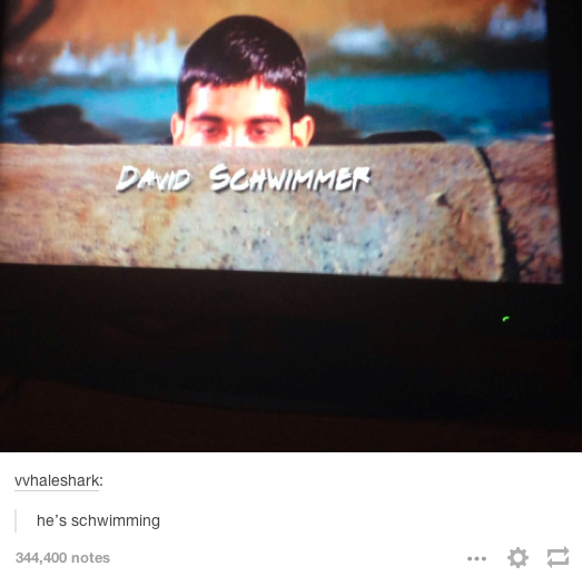 tumblr - hes schwimming