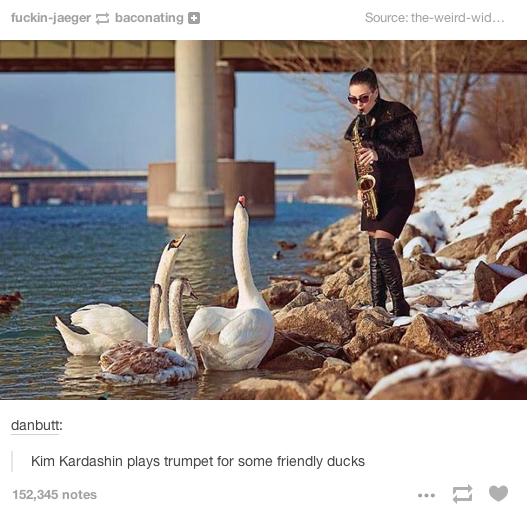 tumblr - kim kardashian plays trumpet for some ducks - fuckinjaeger baconating Source theweirdwid... danbutt Kim Kardashin plays trumpet for some friendly ducks 152,345 notes ...