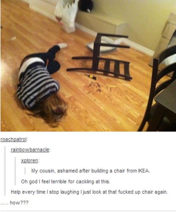 tumblr - ikea chair fail - roachpatrol rainbowbarnacle xploren My cousin, ashamed after building a chair from Ikea. Oh god I feel terrible for cackling at this. Help every time I stop laughing I just look at that fucked up chair again. ..... how???