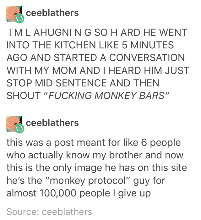 tumblr - there's no protocol for monkeys - ceeblathers Imlahugning So Hard He Went Into The Kitchen 5 Minutes Ago And Started A Conversation With My Mom And I Heard Him Just Stop Mid Sentence And Then Shout "Fucking Monkey Bars" ceeblathers this was a pos