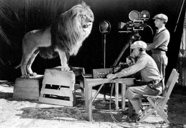 Cameramen film a lion roaring for the MGM logo, 1928.
