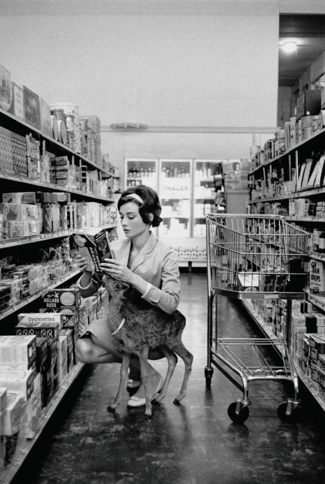 Audrey Hepburn with her pet fawn, 1958.