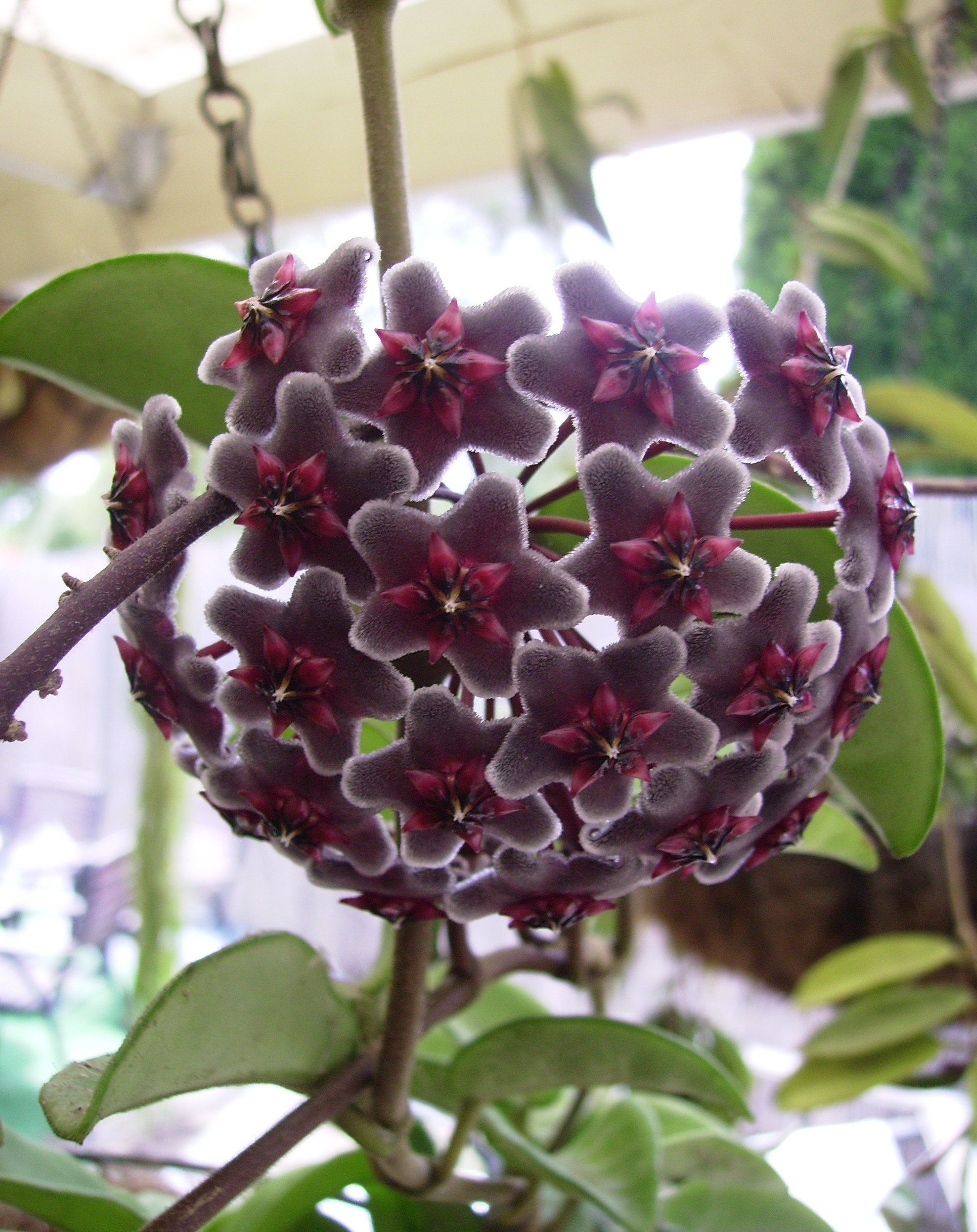 Meanwhile In Australia