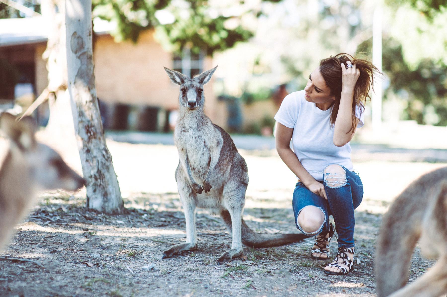 Meanwhile In Australia