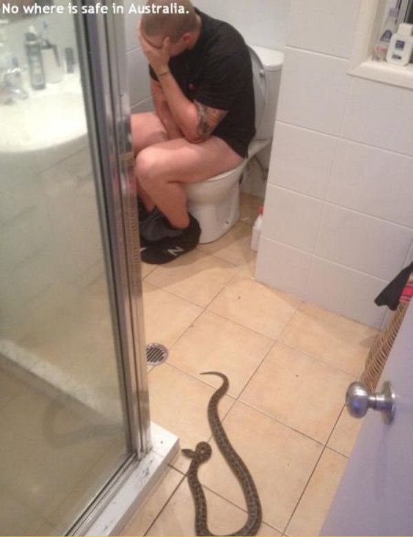 Meanwhile In Australia