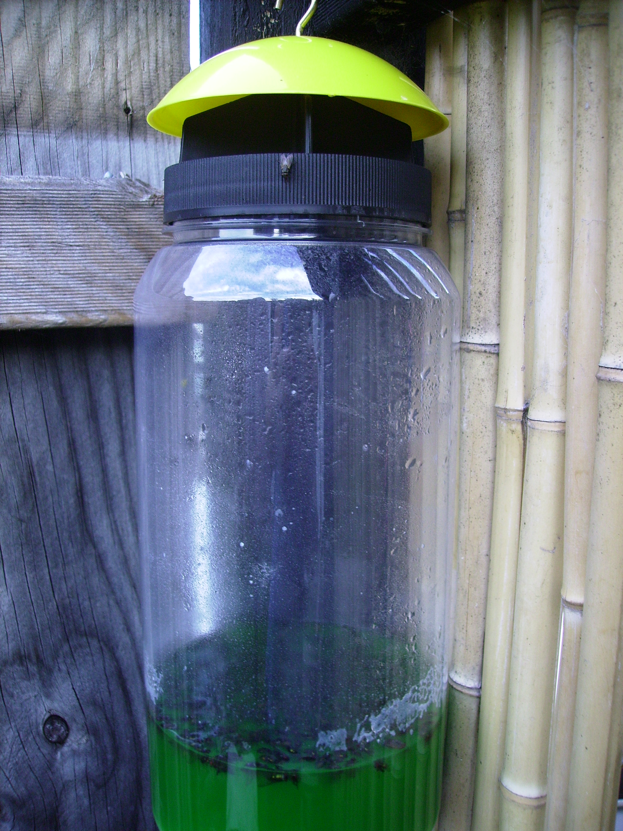 Meanwhile In Australia