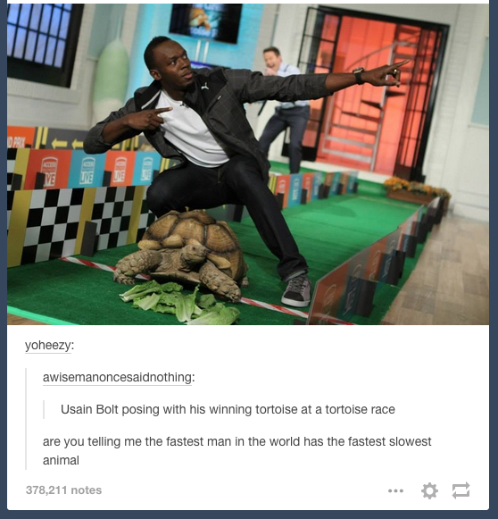 tumblr - usain bolt tortoise - yoheezy awisemanoncesaidnothing Usain Bolt posing with his winning tortoise at a tortoise race are you telling me the fastest man in the world has the fastest slowest animal 378,211 notes