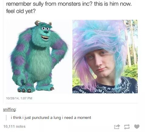 tumblr - remember sully from monsters inc? this is him now. feel old yet? 102814, sniffing i think i just punctured a lung i need a moment 10,111 notes