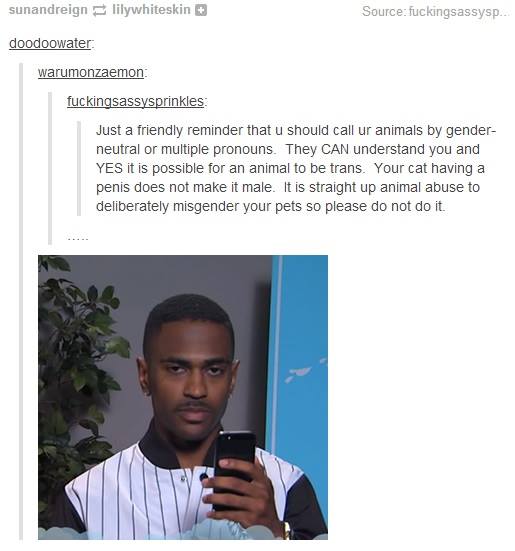 tumblr - your crush meme - sunandreign lilywhiteskin Source fuckingsassysp.. doodoowater warumonzaemon fuckingsassysprinkles Just a friendly reminder that u should call ur animals by gender neutral or multiple pronouns. They Can understand you and Yes it 