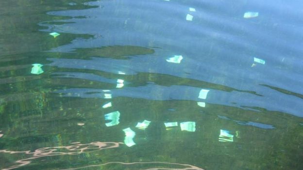 100 and 500 Euro bills that for an unknown reason ended in the river. The lucky guy jumped in the water and started getting the money thinking he's the luckiest person in Austria.