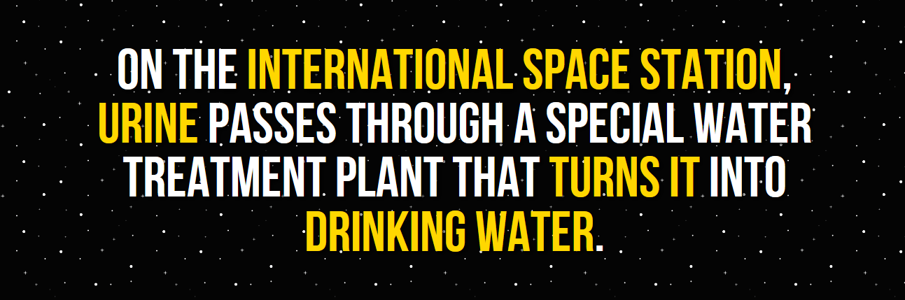 walker art center - On The International Space Station, Urine Passes Through A Special Water Treatment Plant That Turns It Into Drinking Water.