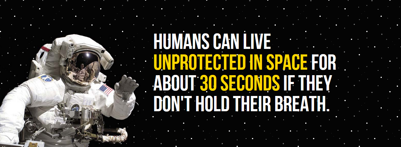 space walk - Humans Can Live Unprotected In Space For About 30 Seconds If They. Don'T Hold Their Breath.