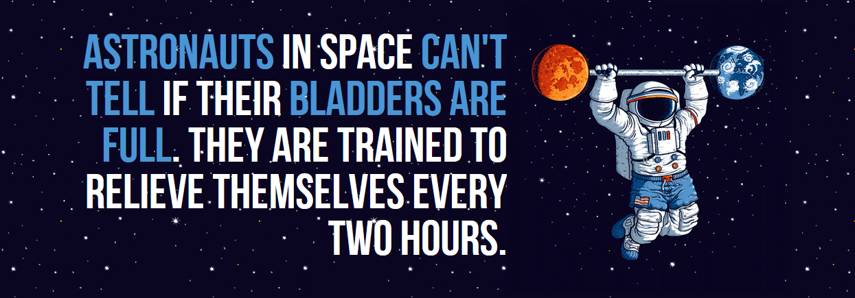 graphic design - Astronauts In Spac Can'T Tell If Their Bladders Are Full. They Are Trained To Relieve Themselves Every Two Hours.