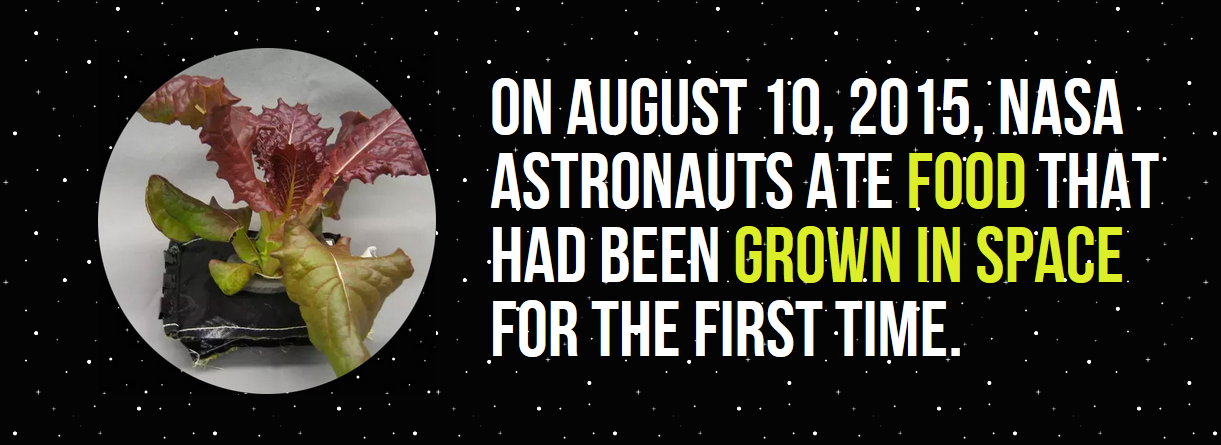 graphics - On , Nasa Astronauts Ate Food That Had Been Grown In Space For The First Time.