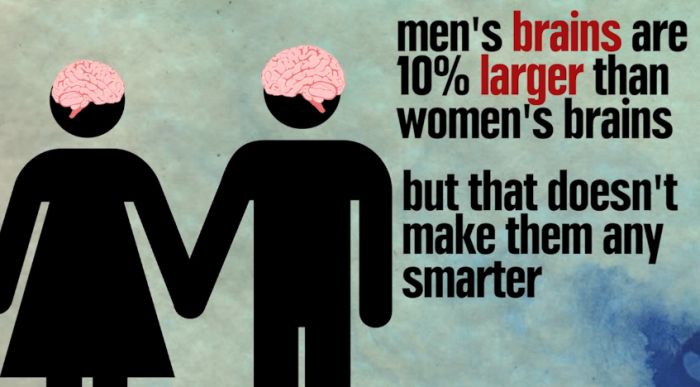 funny fun facts about men - men's brains are 10% larger than women's brains but that doesn't make them any smarter