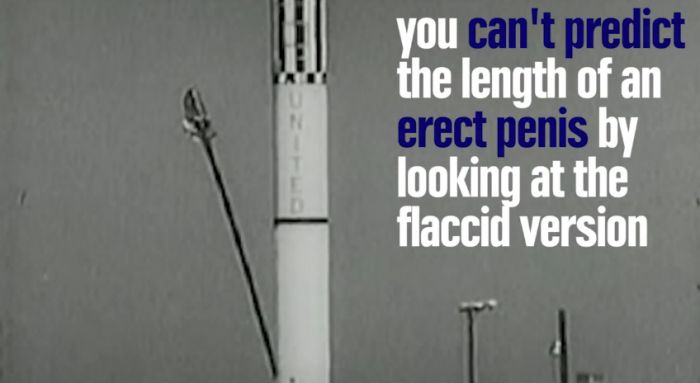 wall - you can't predict the length of an erect penis by looking at the flaccid version
