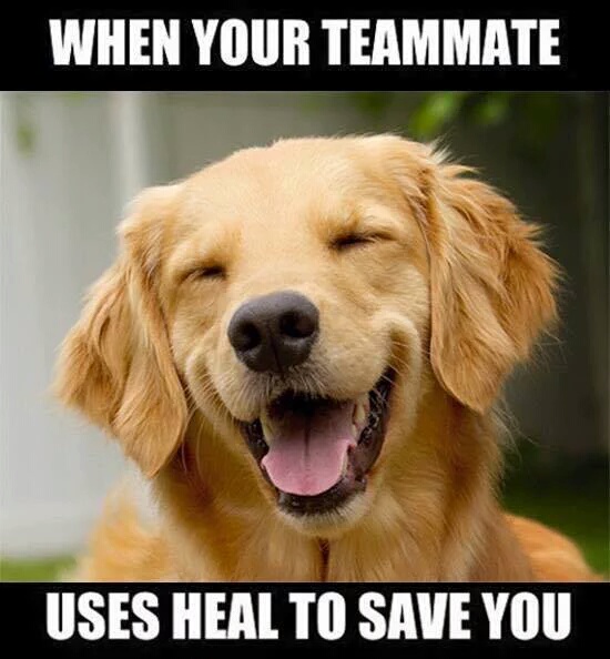 golden köpek - When Your Teammate Uses Heal To Save You