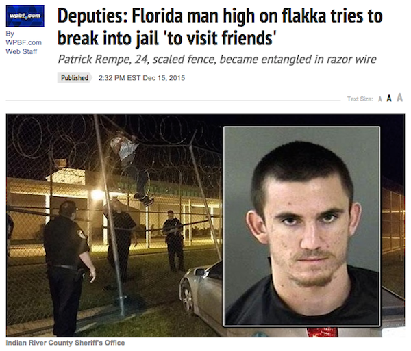florida man meme - wpbl com By Deputies Florida man high on flakka tries to break into jail 'to visit friends' Patrick Rempe, 24, scaled fence, became entangled in razor wire Wpbf.com Web Staff Published Est Text Size Aaa Indian River County Sheriff's Off