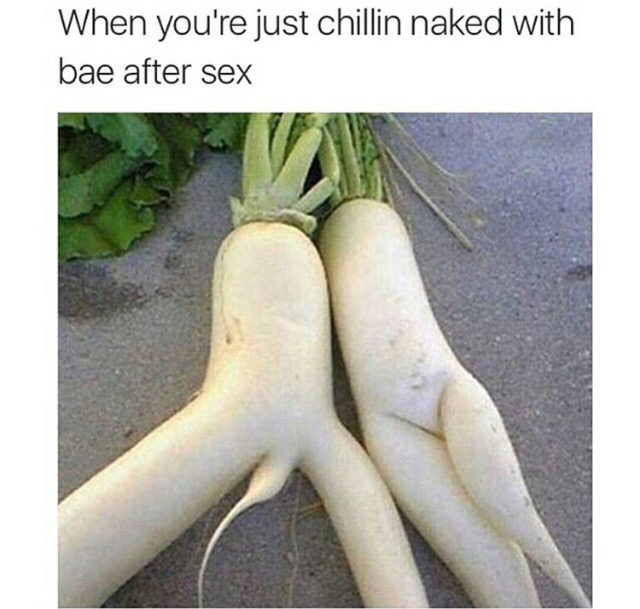 tweet - funny pictures funny - When you're just chillin naked with bae after sex