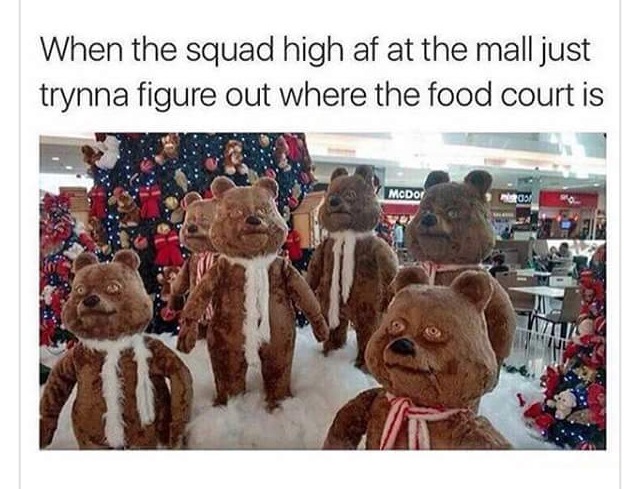 tweet - cops show up meme - When the squad high af at the mall just trynna figure out where the food court is Mcdoi Tos