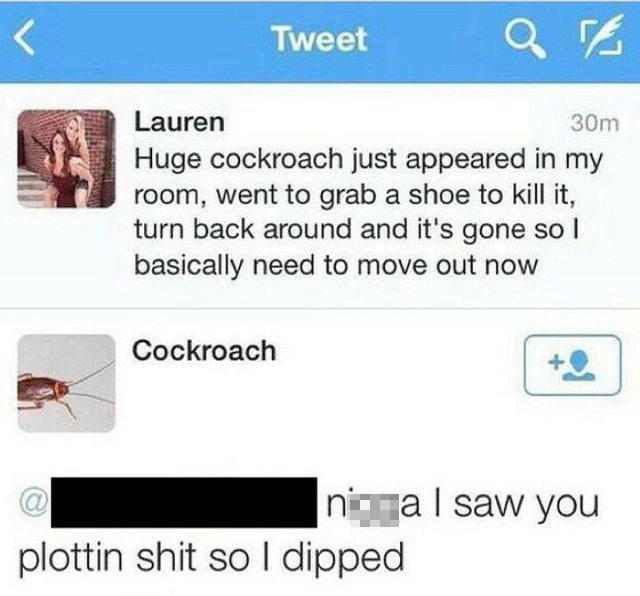 tweet - roach nigga - Tweet Qe Lauren 30m Huge cockroach just appeared in my room, went to grab a shoe to kill it, turn back around and it's gone sol basically need to move out now Cockroach nica I saw you plottin shit so I dipped