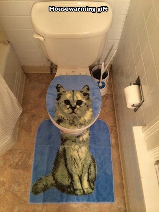cat bathroom meme - Housewarming gift
