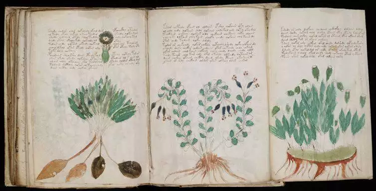 The Voynich Manuscript is a mystery that remains to this day, with plenty of theories as to what language it is written in. In 2014, two different groups came forward claiming to have solved the puzzle. The only problem was they both had completely different views. One believed it was an extinct Mexican dialect, while another thought it was a coded Asian language.