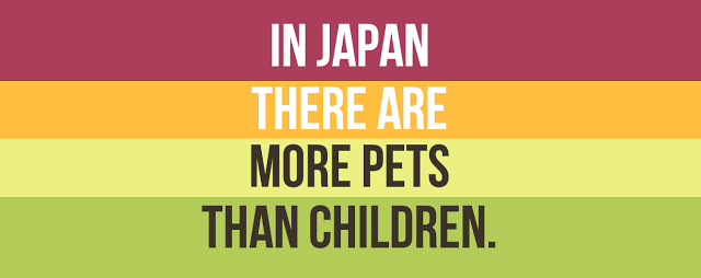japan there are more pets than children - In Japan There Are More Pets Than Children.