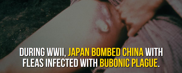 bubonic plague - During Wwii, Japan Bombed China With Fleas Infected With Bubonic Plague.