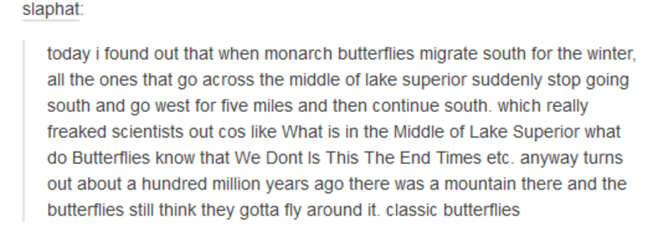 number - slaphat today i found out that when monarch butterflies migrate south for the winter, all the ones that go across the middle of lake superior suddenly stop going south and go west for five miles and then continue south, which really freaked scien