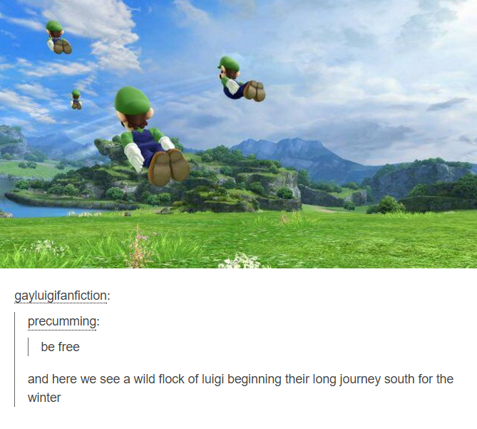 sky - gayluigifanfiction precumming be free and here we see a wild flock of luigi beginning their long journey south for the winter