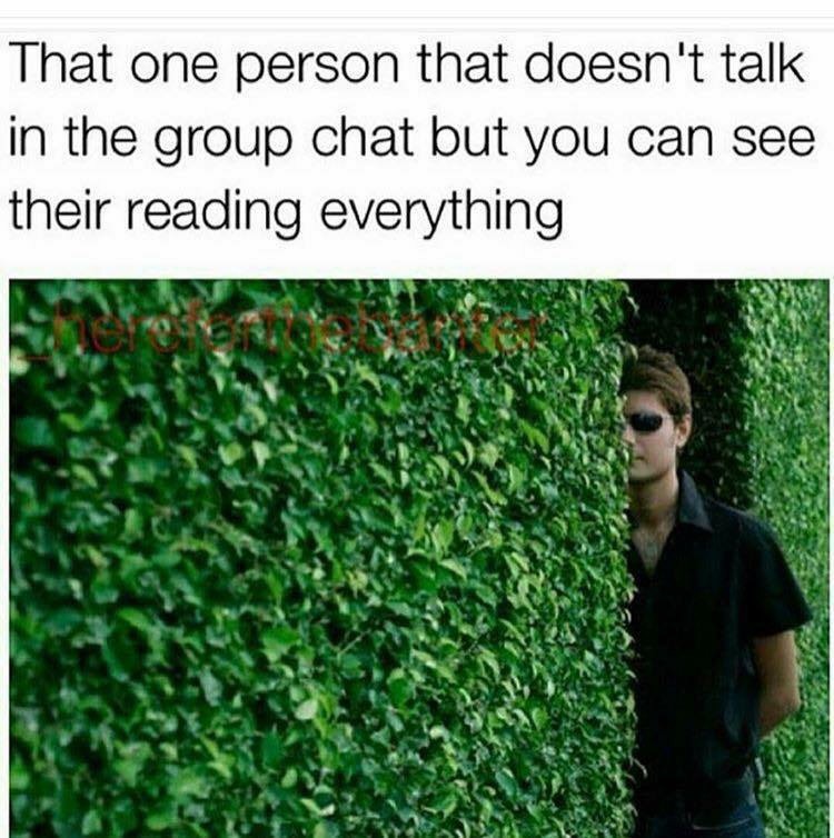 reading group chat meme - That one person that doesn't talk in the group chat but you can see their reading everything
