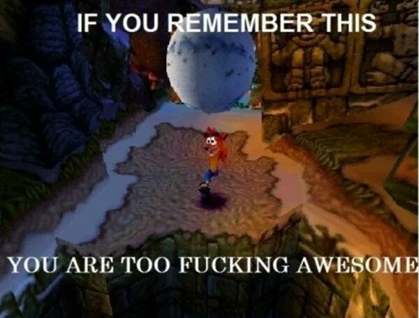 crash bandicoot games meme - If You Remember This You Are Too Fucking Awesome