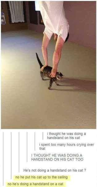 funny cats - i thought he was doing a handstand on his cat spent too many hours crying over that I Thought He Was Doing A Handstand On His Cattoo He's not doing a handstand on his cat? no he put his cat up to the ceiling no he's doing a handstand on a cat