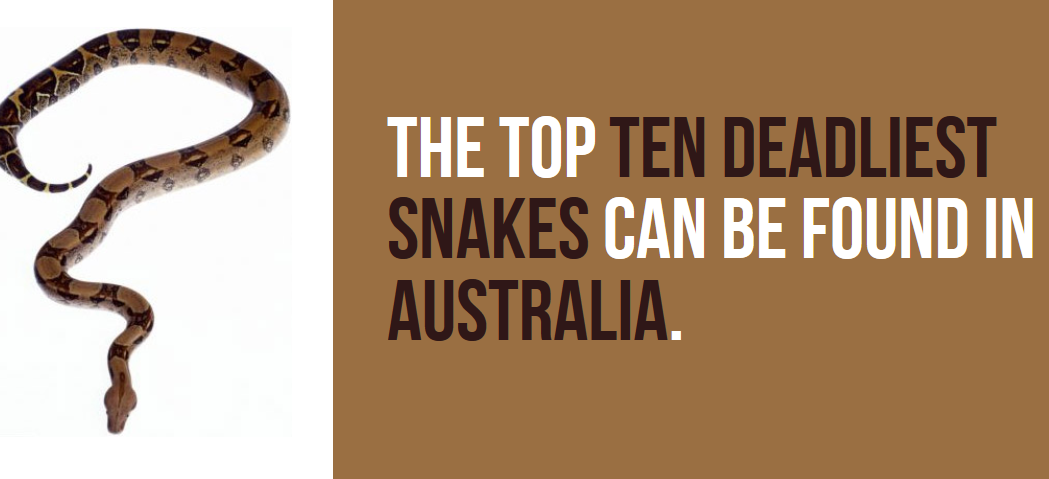 37 Astonishing Australia Facts