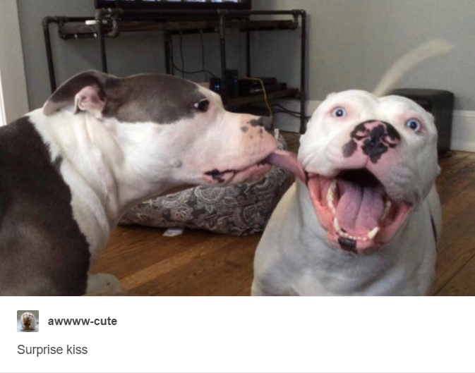 37 Pictures That Will Make You Smile