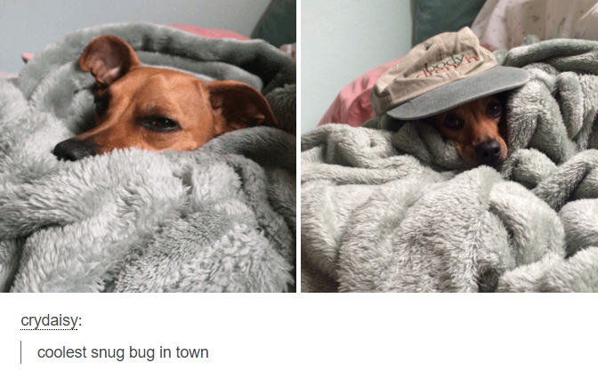 37 Pictures That Will Make You Smile