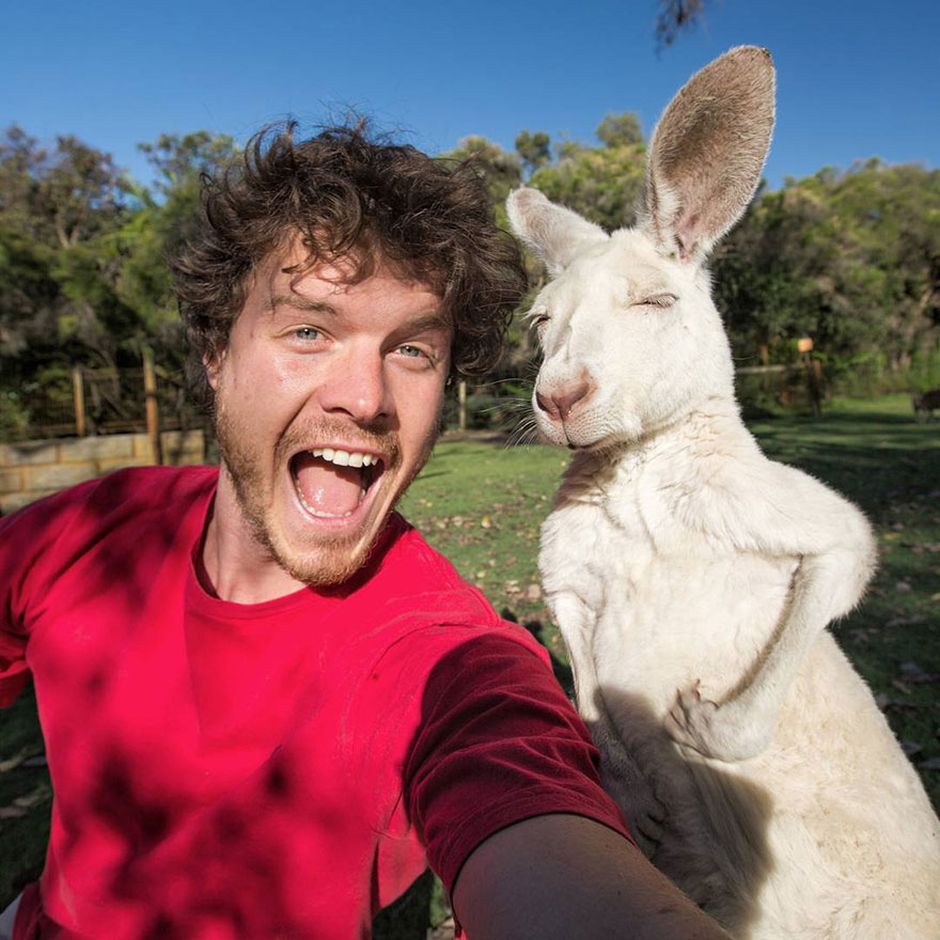 Man Takes Selfies With Animals And It Turns Out Epic