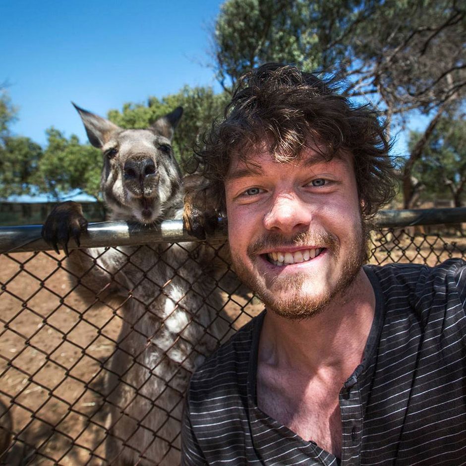 Man Takes Selfies With Animals And It Turns Out Epic