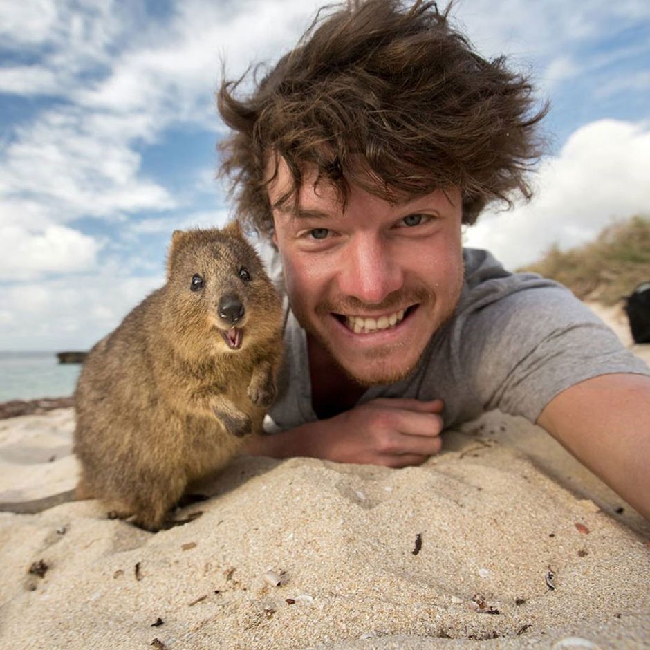 Man Takes Selfies With Animals And It Turns Out Epic
