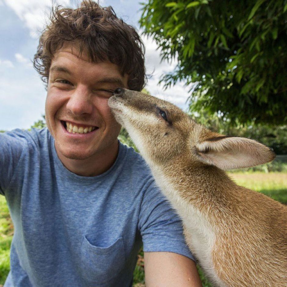 Man Takes Selfies With Animals And It Turns Out Epic