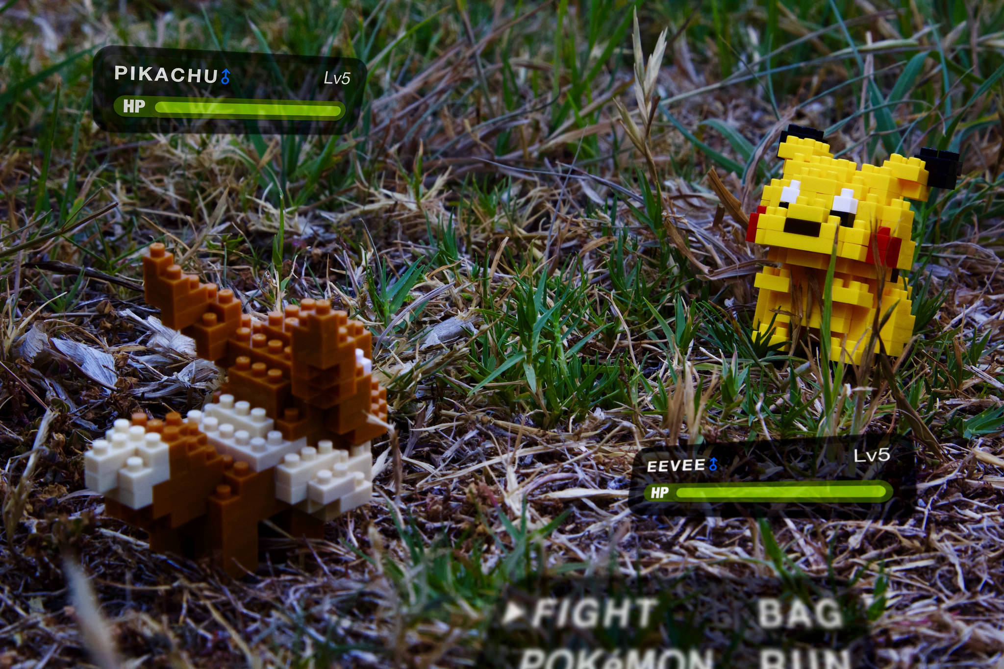 fungus - Pikachu Lv5 Hp Lv5 Eevee Fight Bag Pokemon Run
