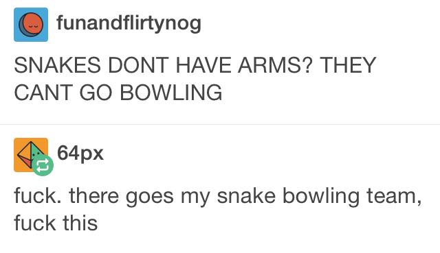 ffffound - funandflirtynog Snakes Dont Have Arms? They Cant Go Bowling 464px fuck. there goes my snake bowling team, fuck this