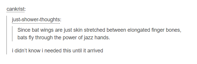 angle - cankrist justshowerthoughts Since bat wings are just skin stretched between elongated finger bones, bats fly through the power of jazz hands. i didn't know i needed this until it arrived