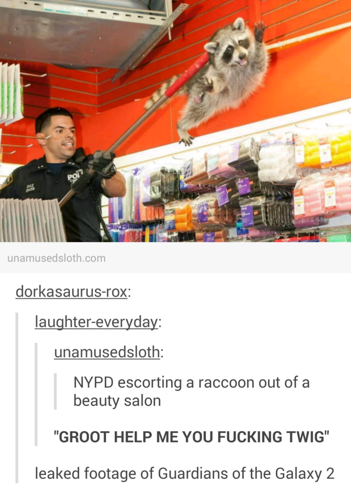 guardians of the galaxy memes - unamused sloth.com dorkasaurusrox laughtereveryday unamusedsloth Nypd escorting a raccoon out of a beauty salon "Groot Help Me You Fucking Twig" leaked footage of Guardians of the Galaxy 2