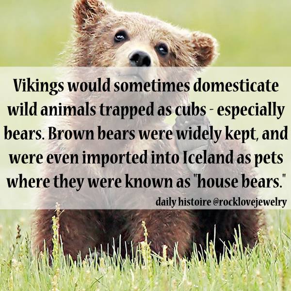 viking facts - Vikings would sometimes domesticate wild animals trapped as cubs especially bears. Brown bears were widely kept and were even imported into Iceland as pets where they were known as "house bears." daily histoire
