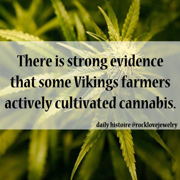 Vikings - There is strong evidence that some Vikings farmers actively cultivated cannabis. daily histoire
