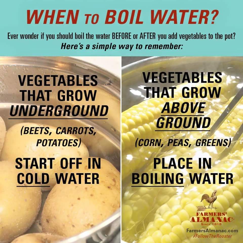 cooking tip - When To Boil Water? Ever wonder if you should boil the water Before or After you add vegetables to the pot? Here's a simple way to remember Vegetables That Grow Underground Beets, Carrots, Potatoes Start Off In Cold Water Vegetables That Gro