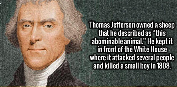 thomas jefferson - Thomas Jefferson owned a sheep that he described as this abominable animal." He kept it in front of the White House where it attacked several people and killed a small boy in 1808.